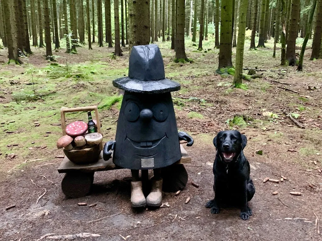 Waldgeisterweg_Ehrenfriedersdorf_slider_image_3