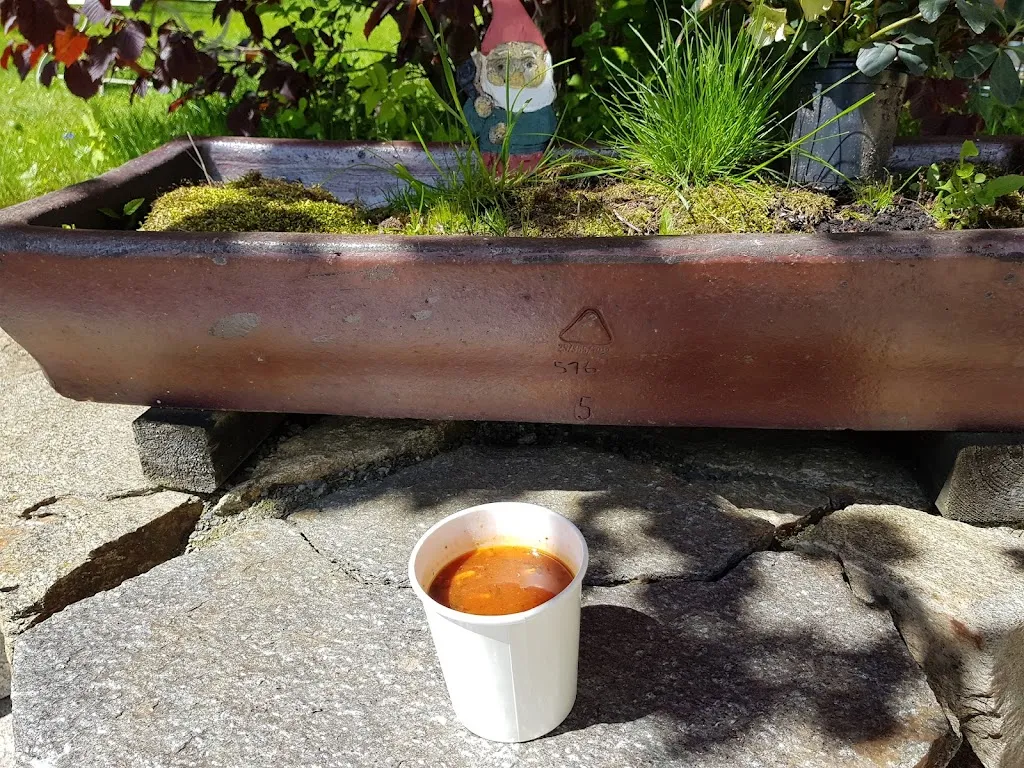 Menu_Restaurant Kalter Muff_Wiesenbad_immagine_7