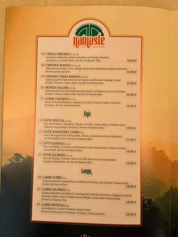 Menu_Namaste Restaurant Döbeln_Döbeln_image_2