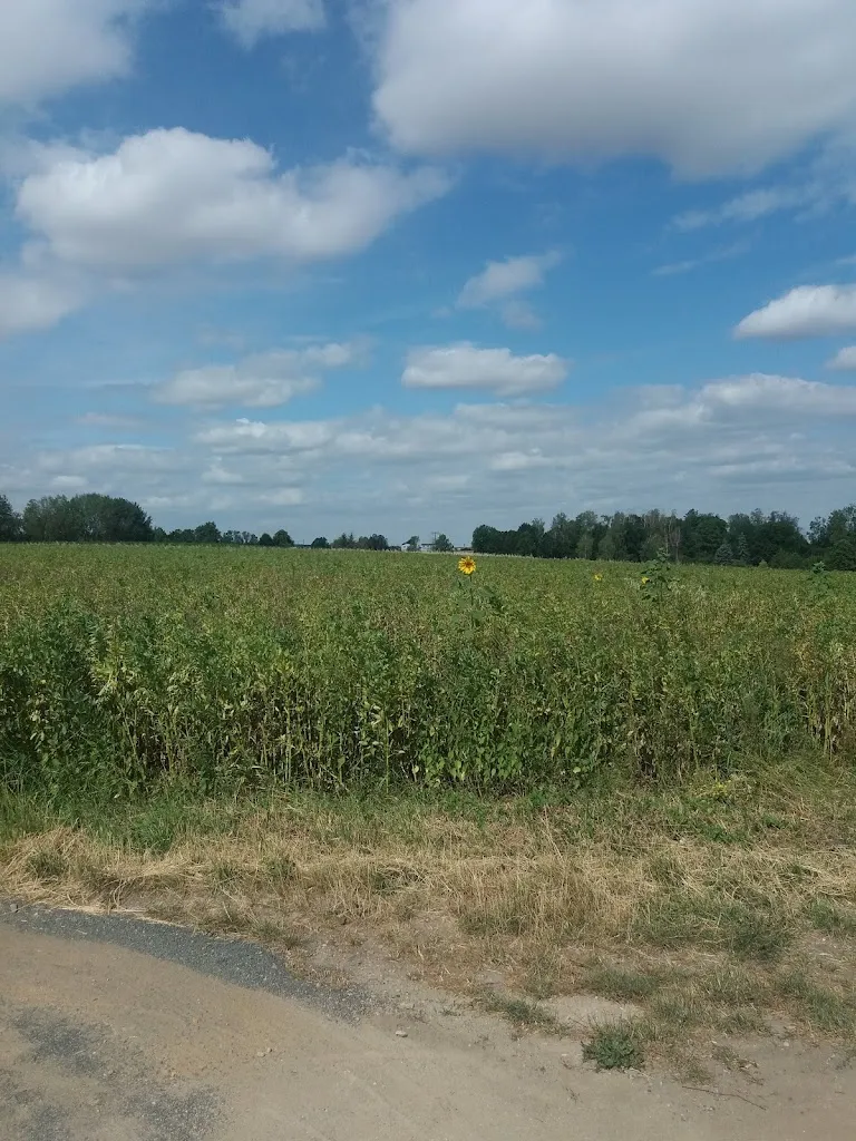 Gaststätte „Sommerhof“ – Inh.: Angela Wagner_Geithain_slider_image_2