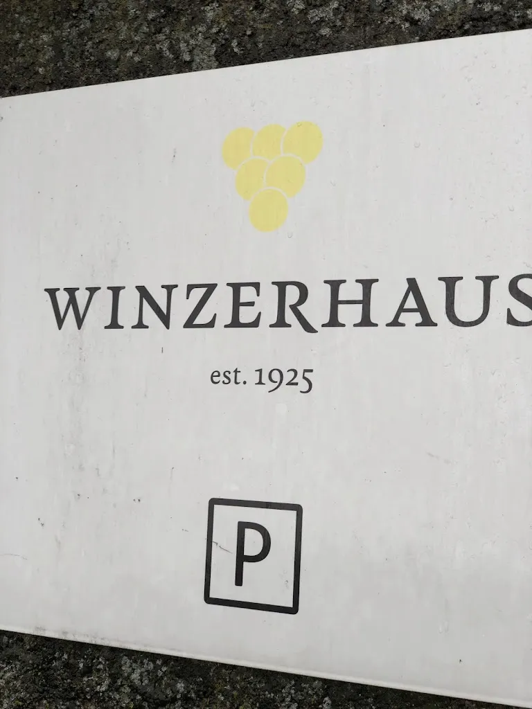 Saif AlShehhi_Winzerhaus_Weiningen_review