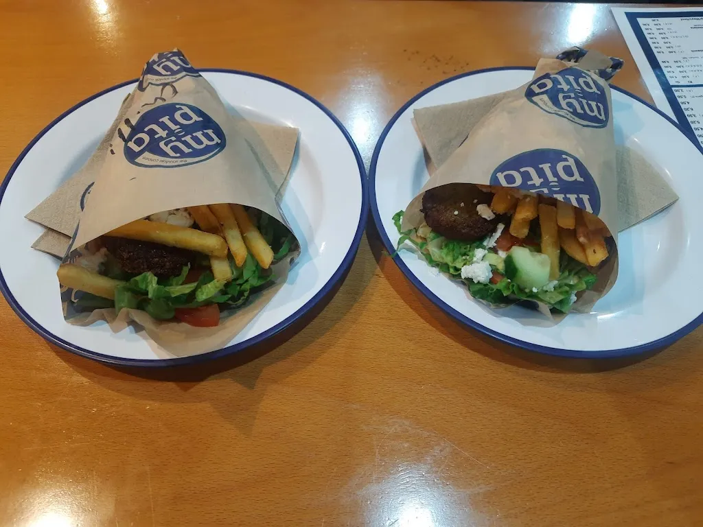 Neelesh Bhalla_MyPita_Main_review