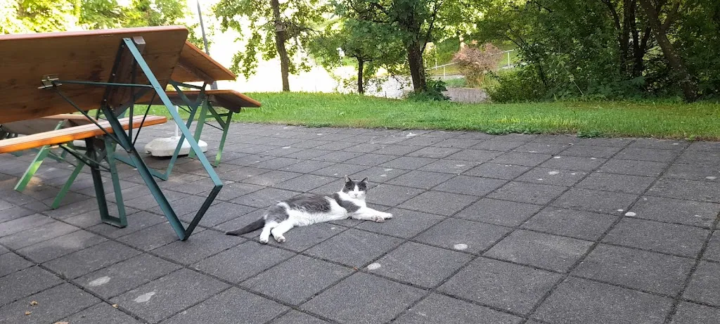 Landgasthof Grüner Baum_Großaitingen_slider_image_3