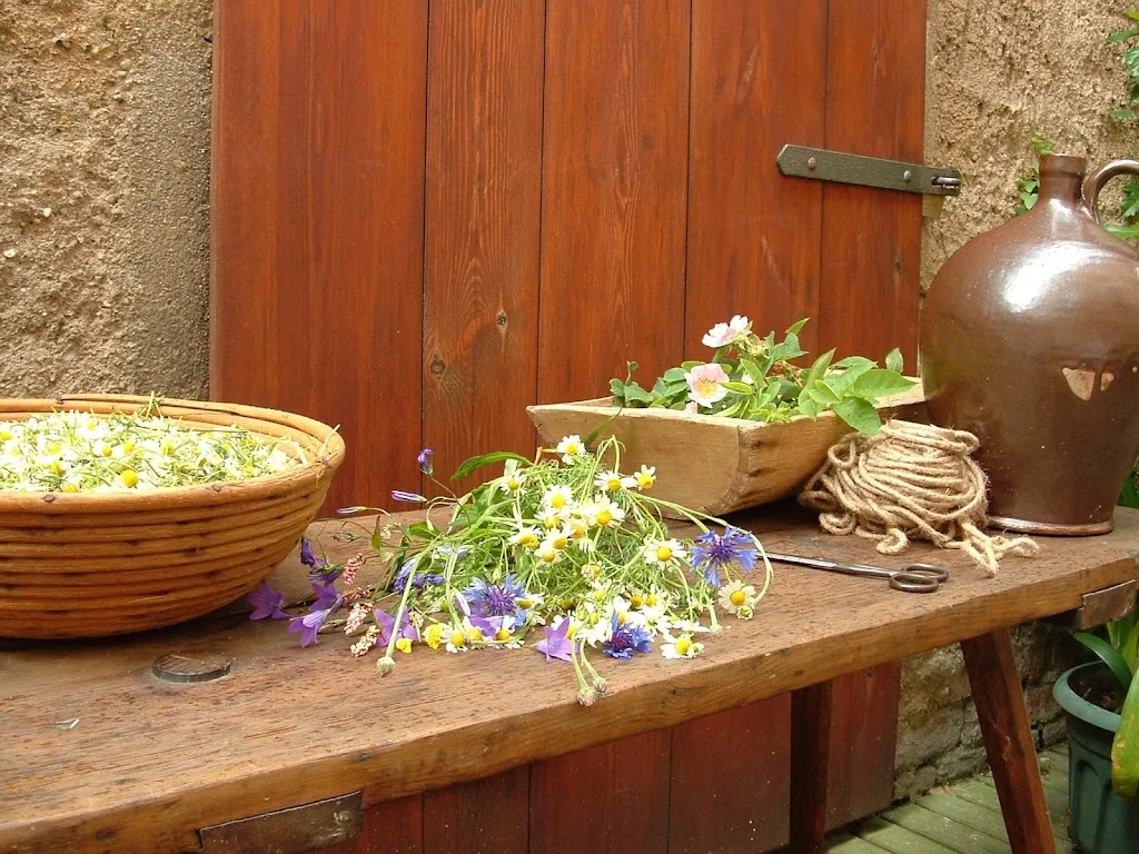 Restaurant Dreibeiniger Hund_Görlitz_slider_image_3