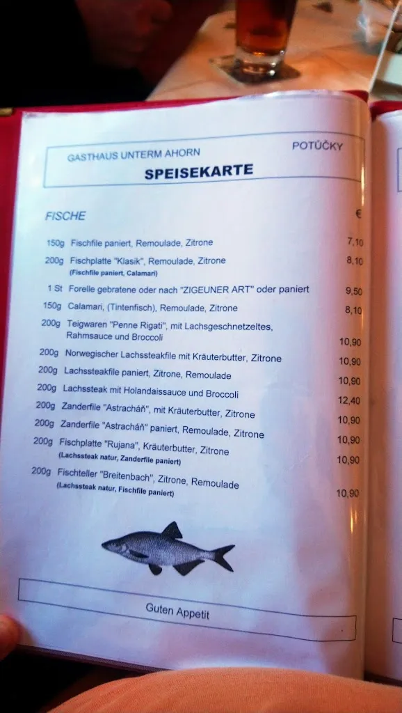 Menu_Restaurant unterm Ahorn_Czechia_image_3