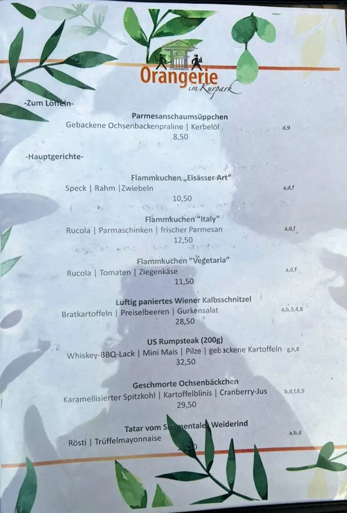 Menü_Orangerie im Kurpark Café-Restaurant-Eventlocation_Höhe_Bild_2