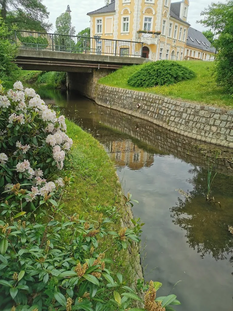 Restaurant & Pension "Zur Alten Apotheke" restaurant in Kodersdorf