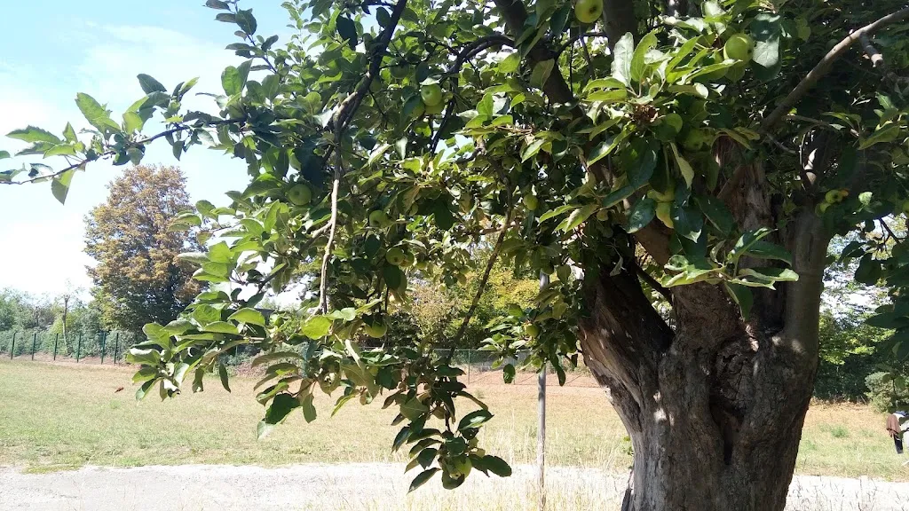 Praveen Kumar_Tafelhaus & Biergarten by Alma und Franky_Asperg_review