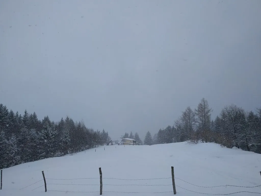 Sascha Mehlhase_Berggasthof Staffn - Alm_Marquartstein_review