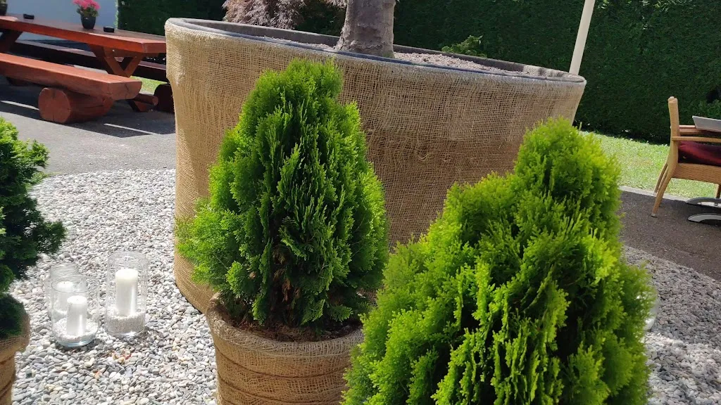 Gasthof Au_Liechtenstein_slider_image_2