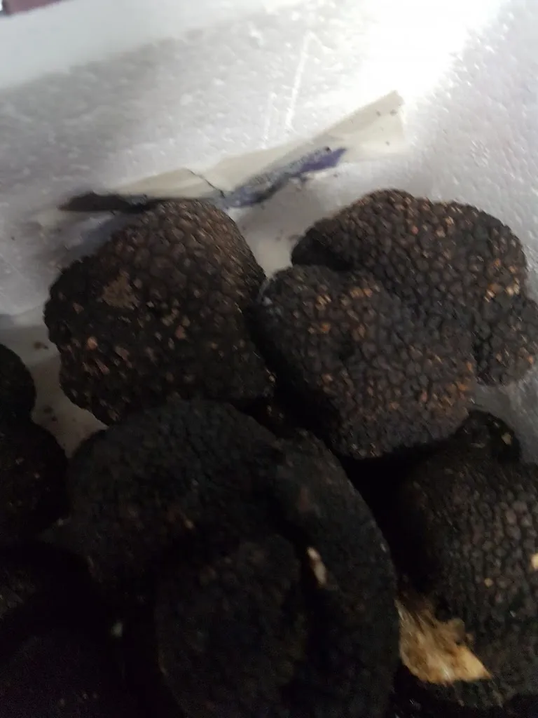 Menu_Made in Italy_Liechtenstein_image_8