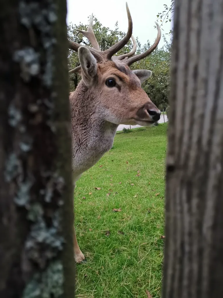 Glorija Laznik_Gasthof Mühlwinkl_Staudach-Egerndach_review