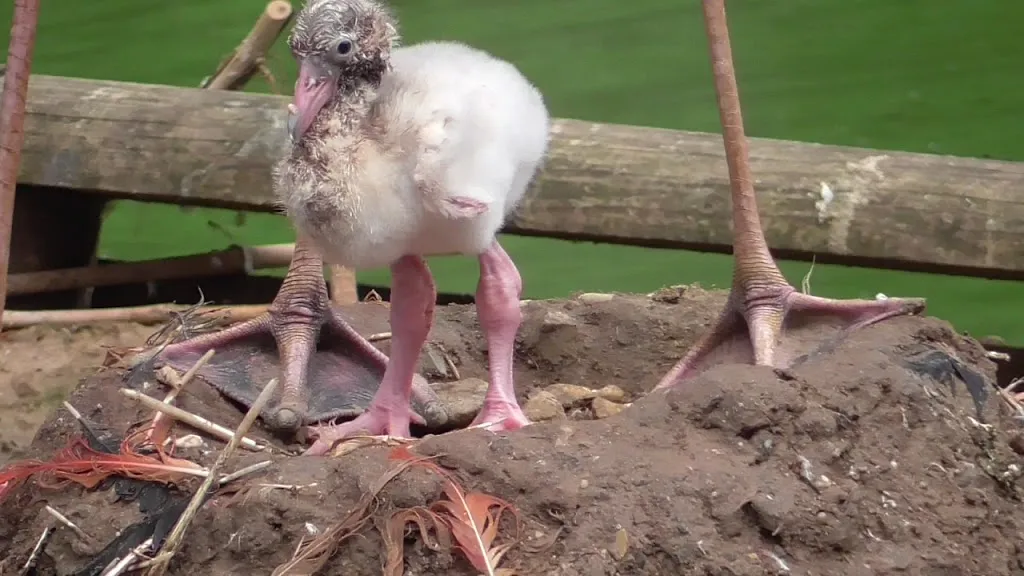 Amerika-Tierpark Limbach-Oberfrohna_Limbach-Oberfrohna_slider_image_2