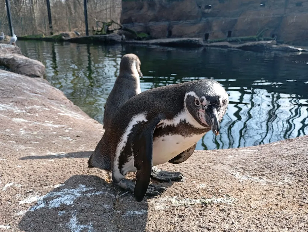 Amerika-Tierpark Limbach-Oberfrohna_Limbach-Oberfrohna_slider_image_3