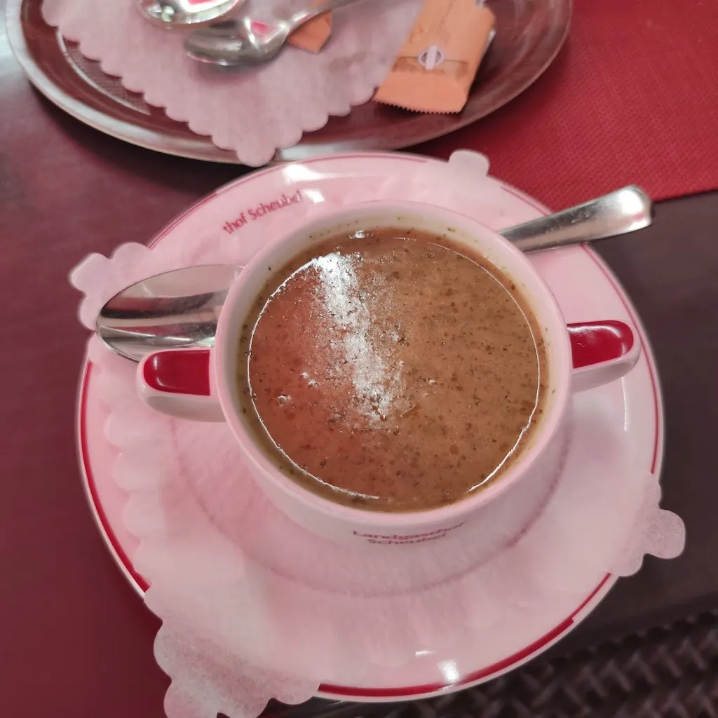 Menu_Landgasthof Scheubel_Gremsdorf_immagine_7