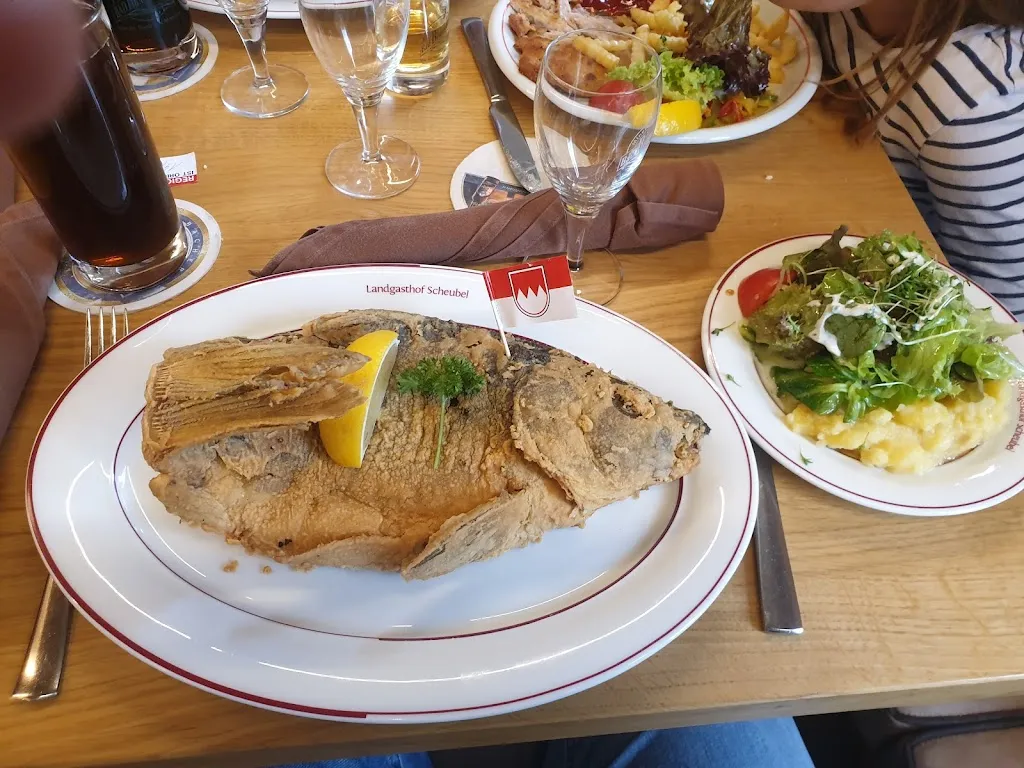 Menu_Landgasthof Scheubel_Gremsdorf_immagine_9