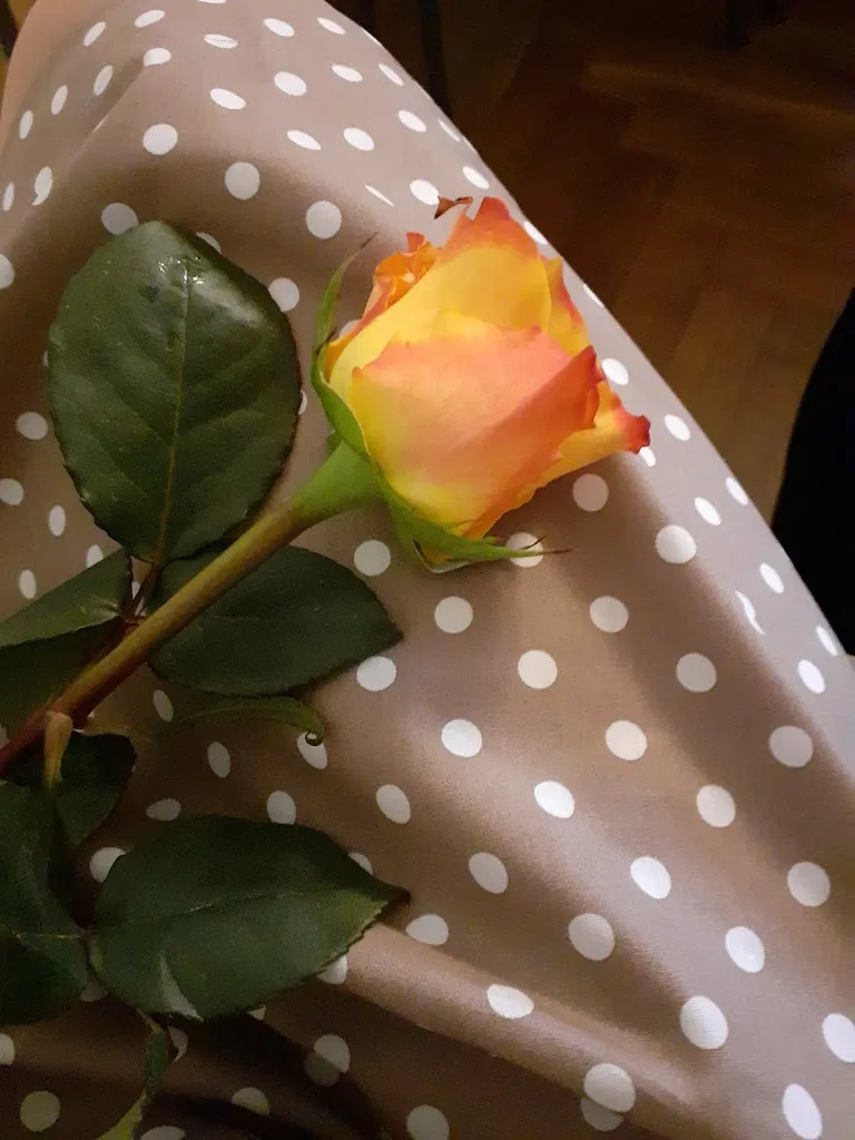 Menu_Gasthof Schweta_Mügeln_image_6