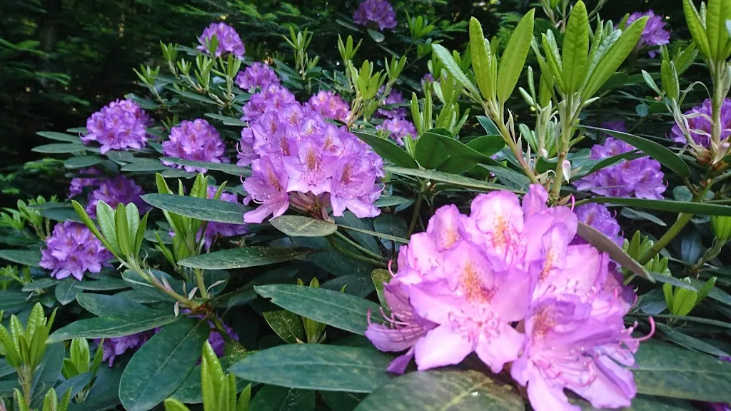 Gaststätte Blockhaus zum Waldfrieden_Neusalza-Spremberg_slider_image_3