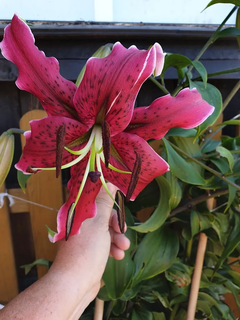 Lindenhof_Niederfrohna_slider_image_2