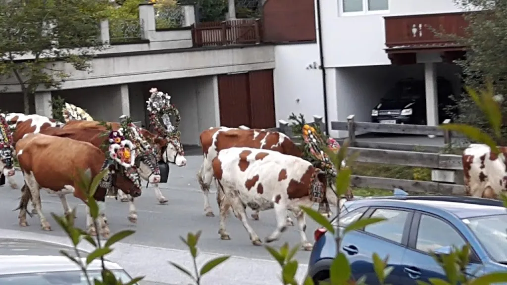 Hotel Schneeberger GmbH restaurant in Austria