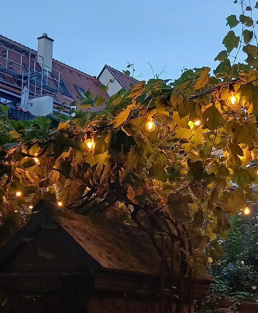 Nadja Oergel_Funkenhöfchen_Pirna_review