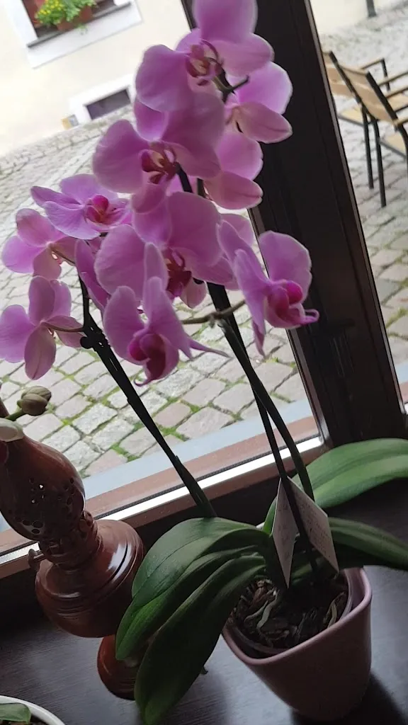 Hà Nội Bistrorant_Pirna_slider_image_2