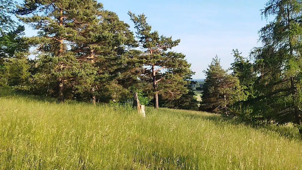 Gasthaus Schmidt Euerwang_Greding_slider_image_2