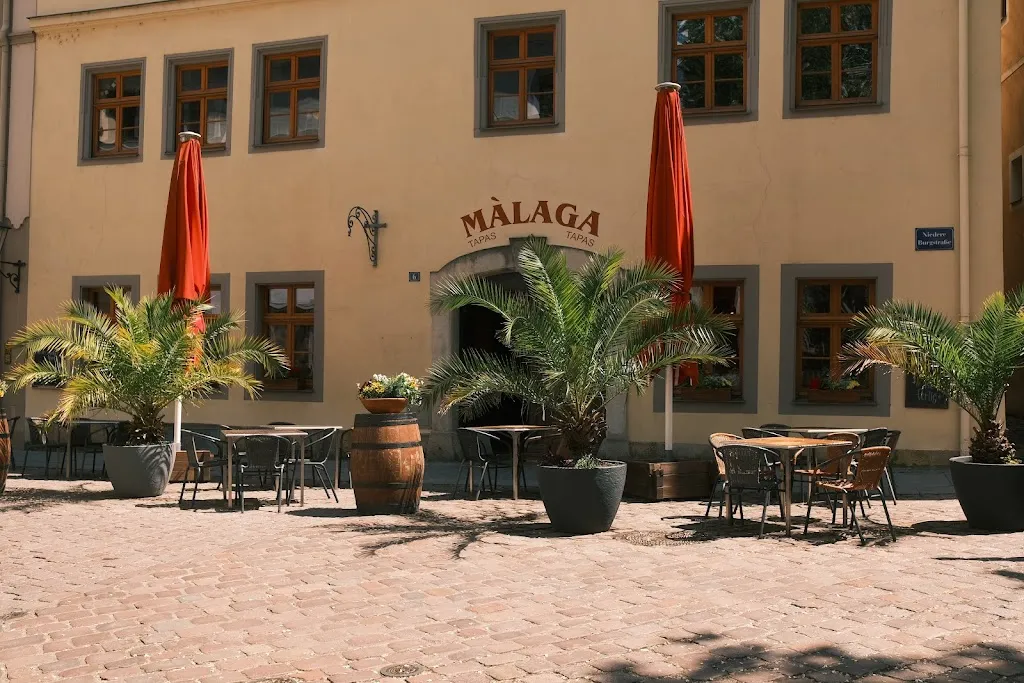 Malaga | Tapas • Bar restaurant in Pirna