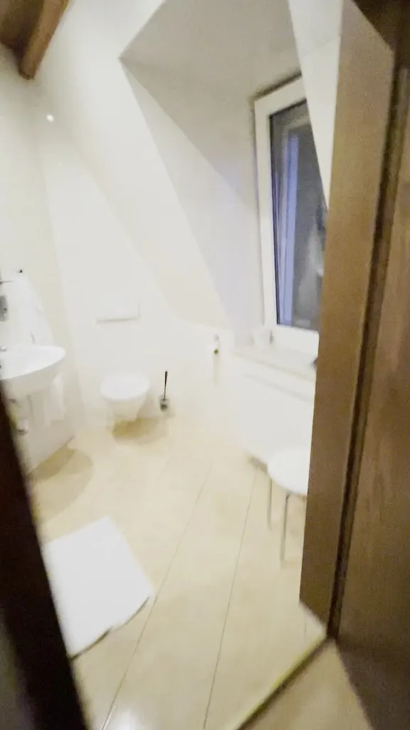 Kristof Furuglyas_ZU DEN LINDEN RADEBEUL - restaurant & pension_Radebeul_review