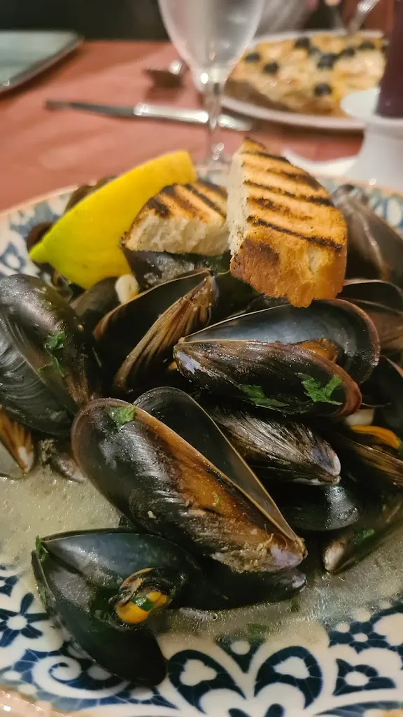 Katja Scholz_Il Faro da Salvatore_Radebeul_review