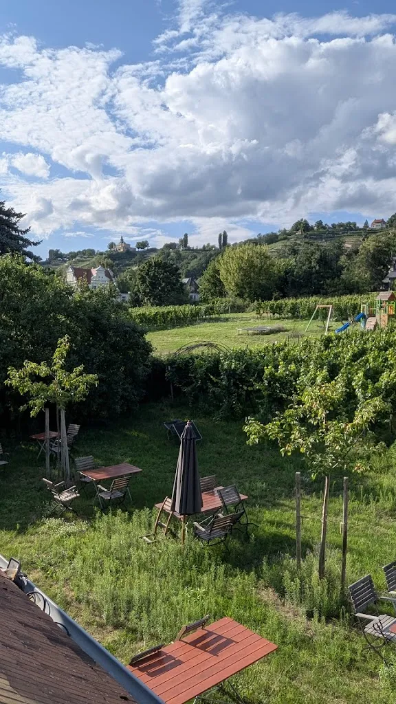 Andrea Kneisel_Haus Steinbach - Weingut & Ferienwohnungen_Radebeul_review