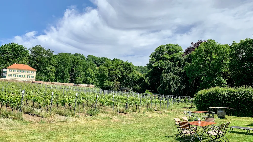 Haus Steinbach - Weingut & Ferienwohnungen_Radebeul_slider_image_1