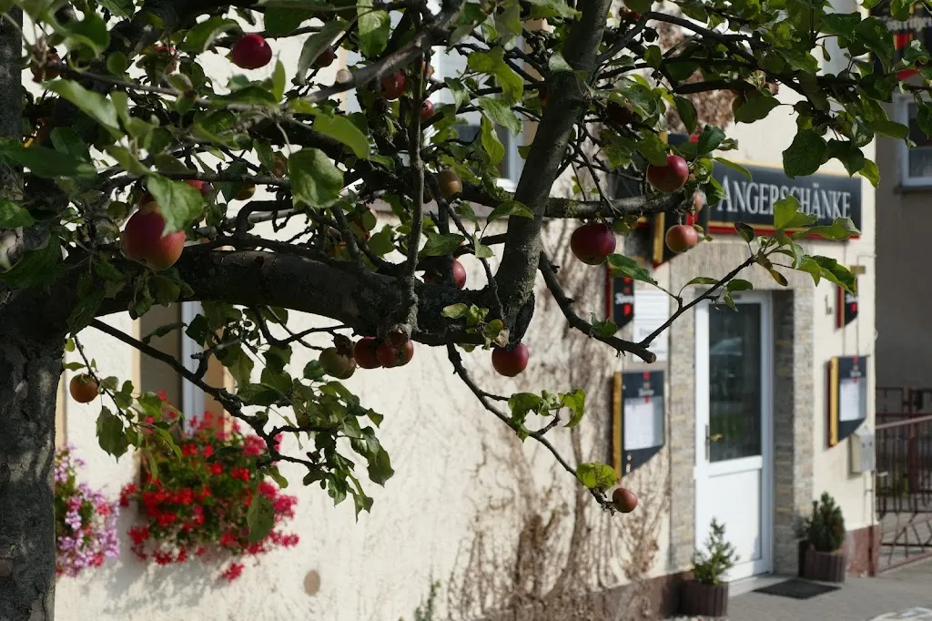 Angerschänke_Schkeuditz_slider_image_3