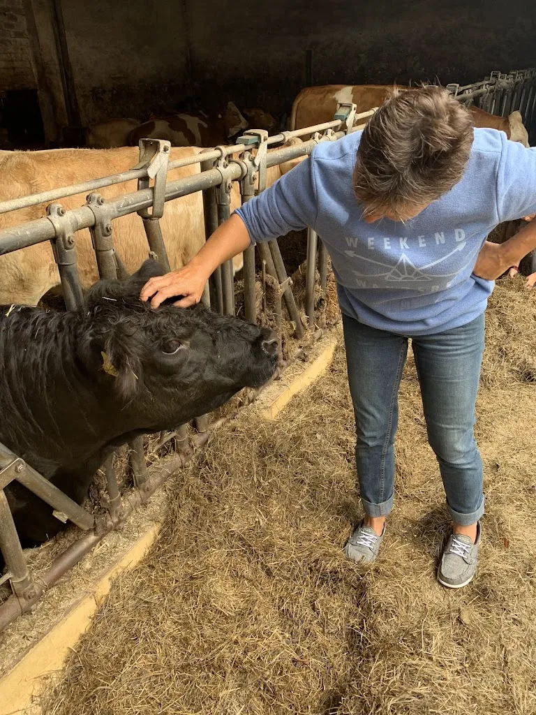 maggie nacey_Lindenhof Fernabrünst/Gasthaus Zur Linde_Großhabersdorf_review