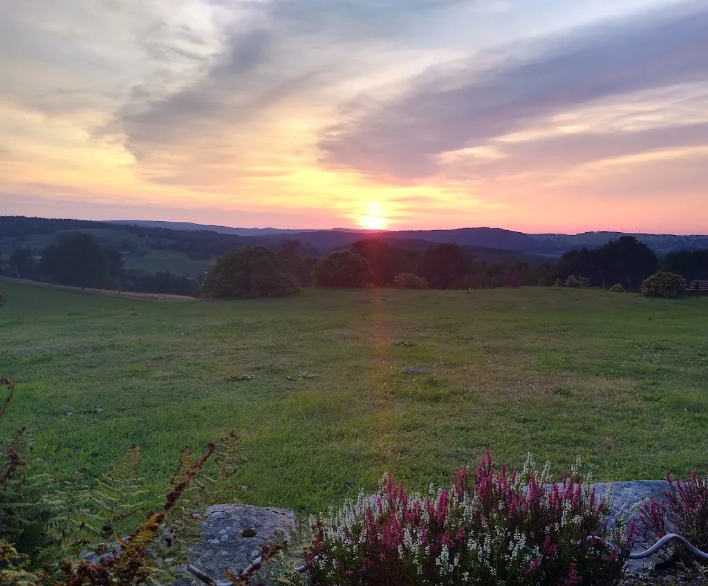 Pension u. Restaurant Diana restaurant in Seiffen/Erzgeb.