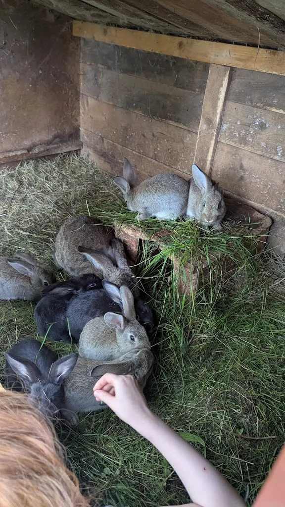 Drachenlanze 588_Landgut Lietze_Stolpen_review