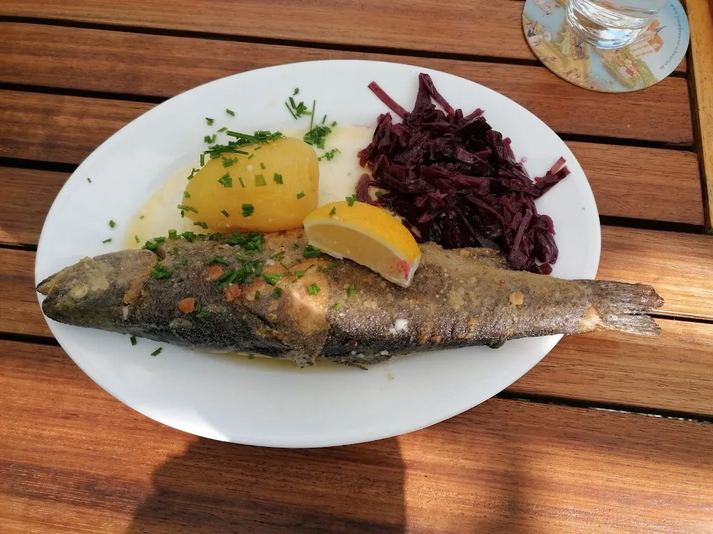 Menu_Wildspezialitäten Gaststätte Knochenmühle_Stolpen_image_1