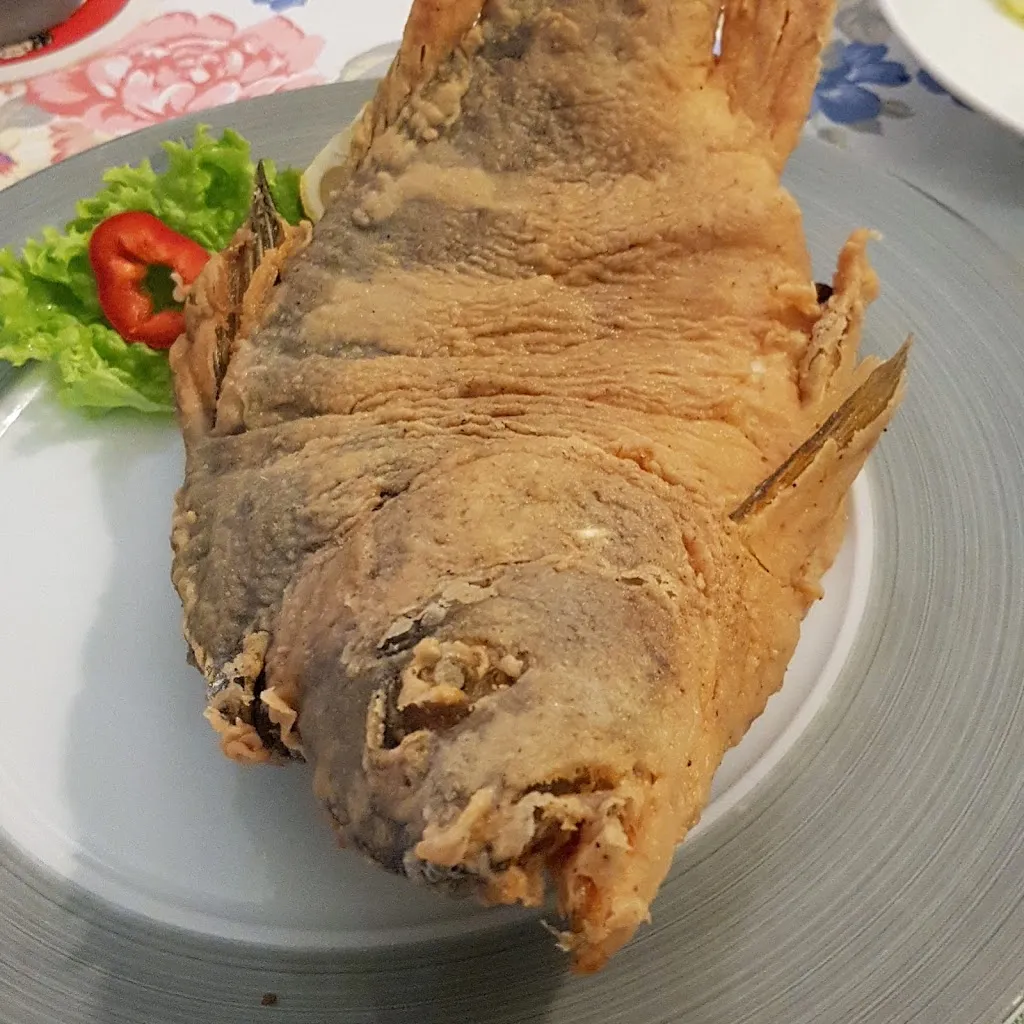 Menu_Gasthaus Goldener Stern_Bayern_image_9