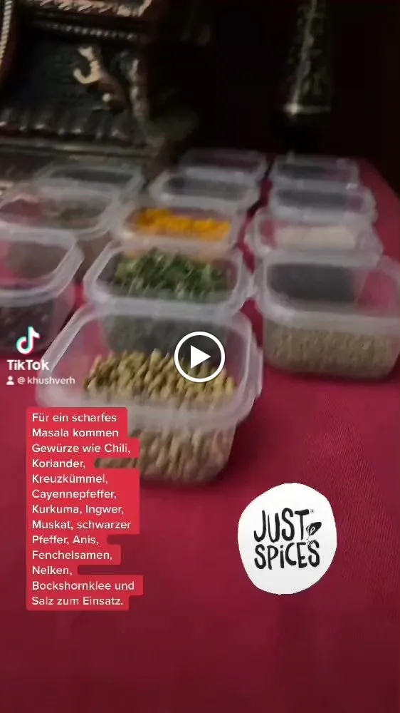 Menu_Maharaja Palace_Bayern_image_3