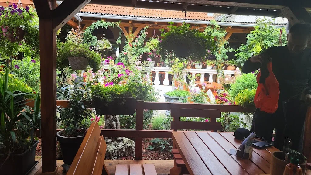 Ralf Stauch_Dragon_Schmiedeberg_review