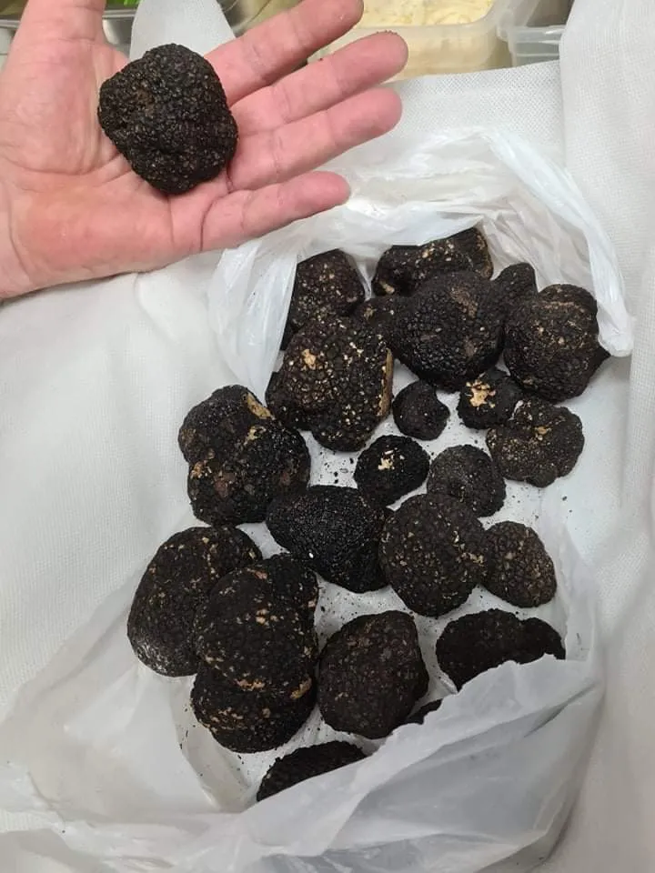 Menu_Pizzeria Trattoria La Grotta_Aschersleben_image_7