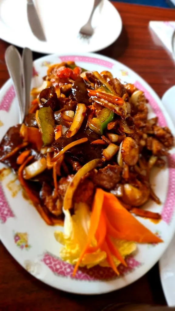 Menu_China Restaurant Sha Guo_Aschersleben_immagine_6