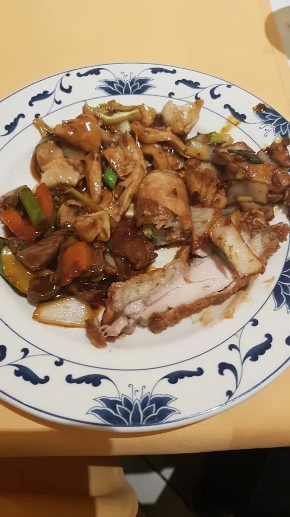 Menu_Chinarestaurant Panda_Aschersleben_immagine_8