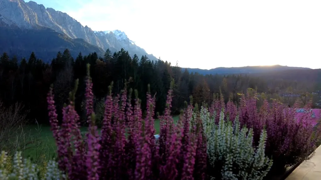 Romantik Alpenhotel Waxenstein_Grainau_slider_image_2