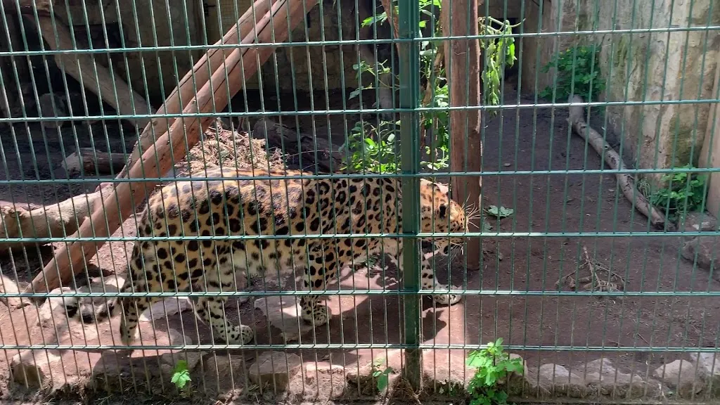 Zoo Aschersleben_Aschersleben_slider_image_2