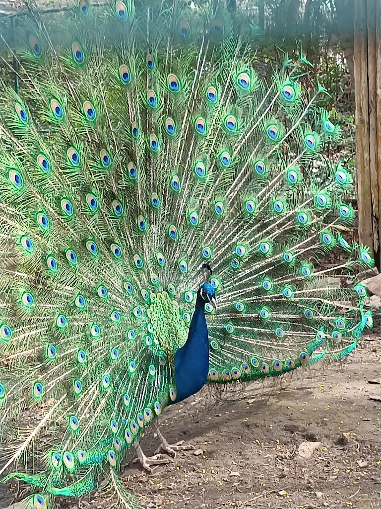 Zoo Aschersleben_Aschersleben_slider_image_3