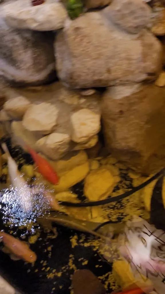 Viet Garden Bitterfeld_Bitterfeld-Wolfen_slider_image_2