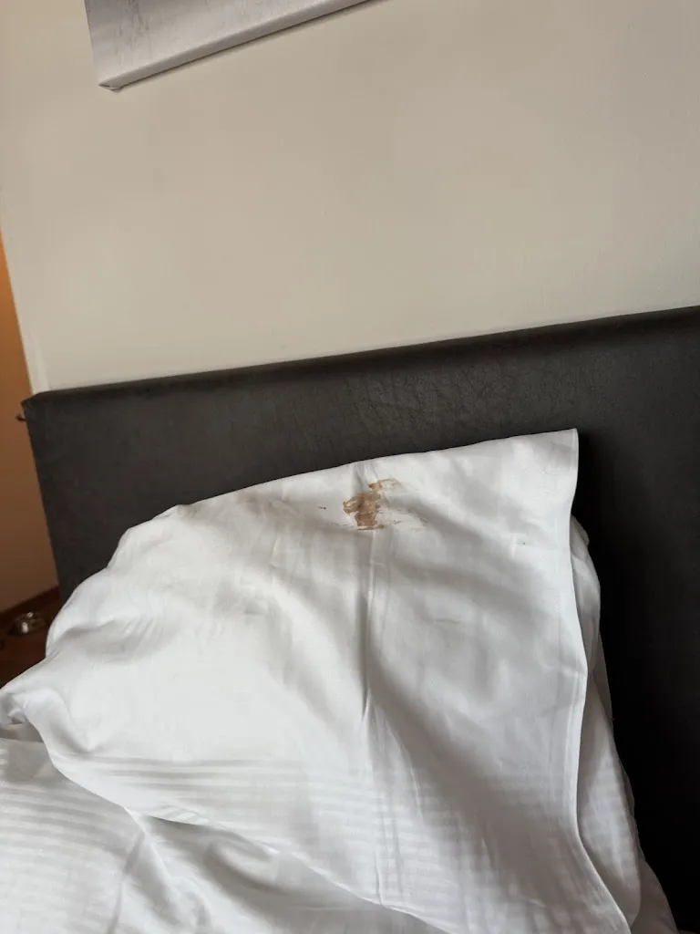 Marina Baritskaya_Berghotel Hammersbach_Grainau_review