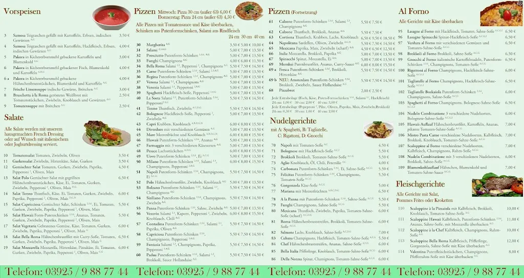 Menu_Indischer Pizzaservice Mumbai & Roma_Staßfurt_image_2