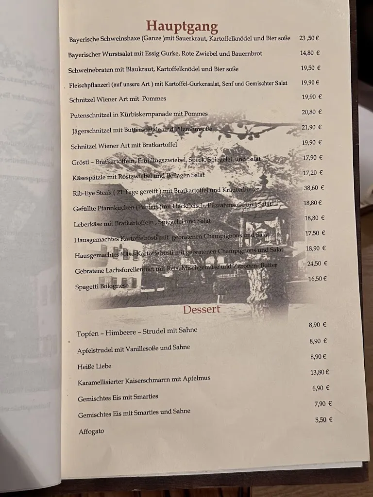 Menu_Gaststätte zum Dorfbrunnen_Grainau_image_1